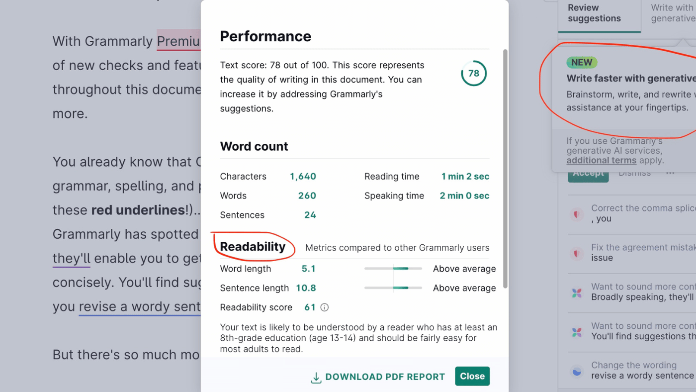 Grammarly interface experience