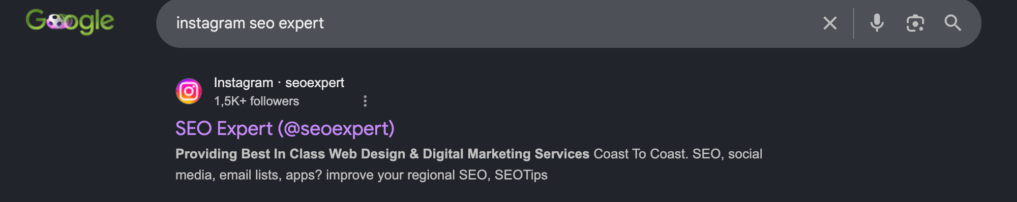 Instagram SEO example for google search